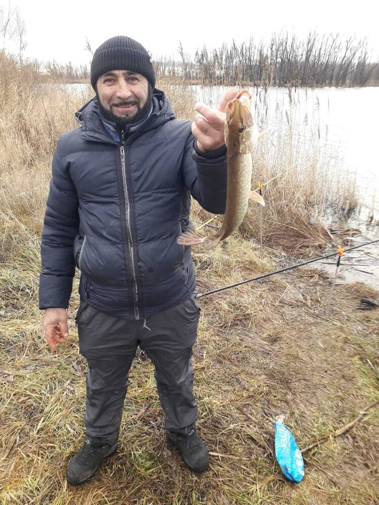 ���� 55530353 ������� ����, 40 ���, ���� ���������� � ���