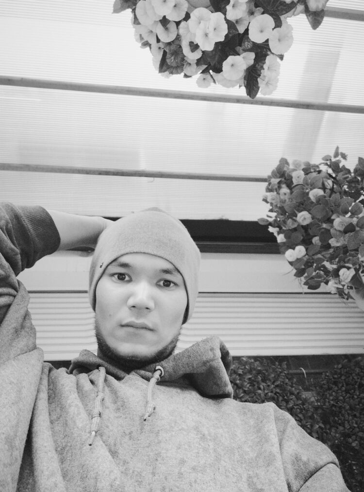  54502183  LIRIKA, 27 ,    