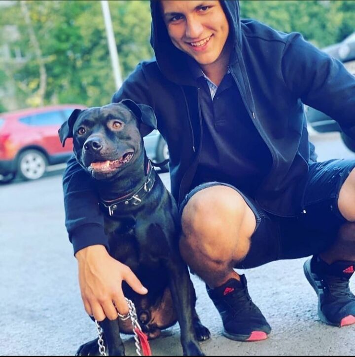 ���������� ��������, ���� ����� ������, 23 ����, ������������ ��� ������, ����� � ���������