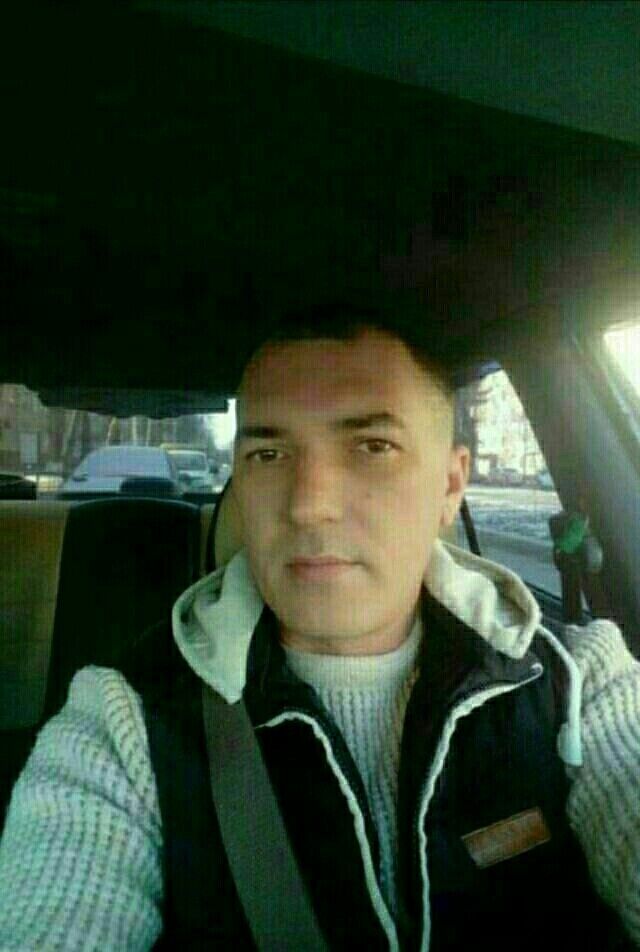  15688483  , 43 ,    