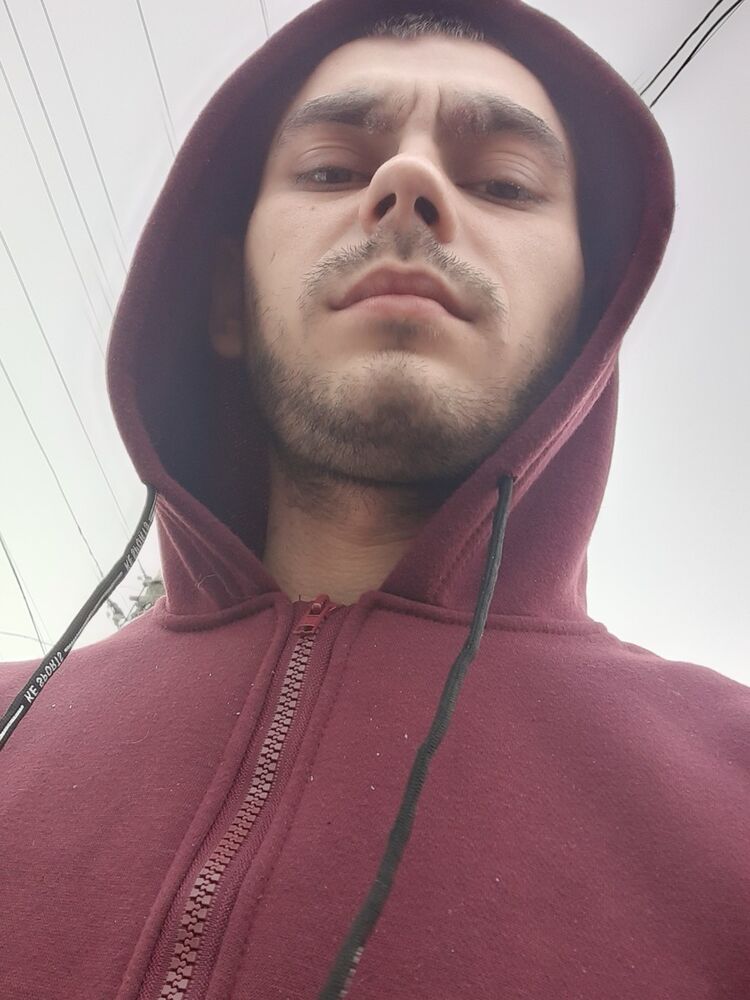  19556433  , 31 ,    