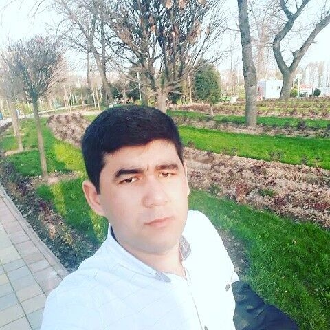 ���� 15442403 ������� Amirjon, 31 ���, ���� ���������� � �������