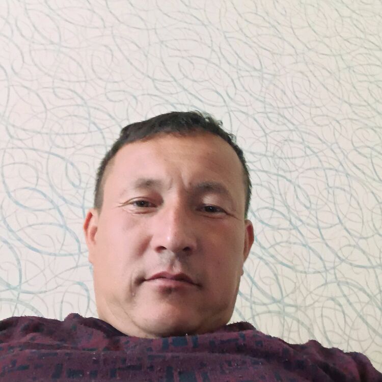 ���� 36781573 ������� ������, 32 ����, ���� ���������� � �����