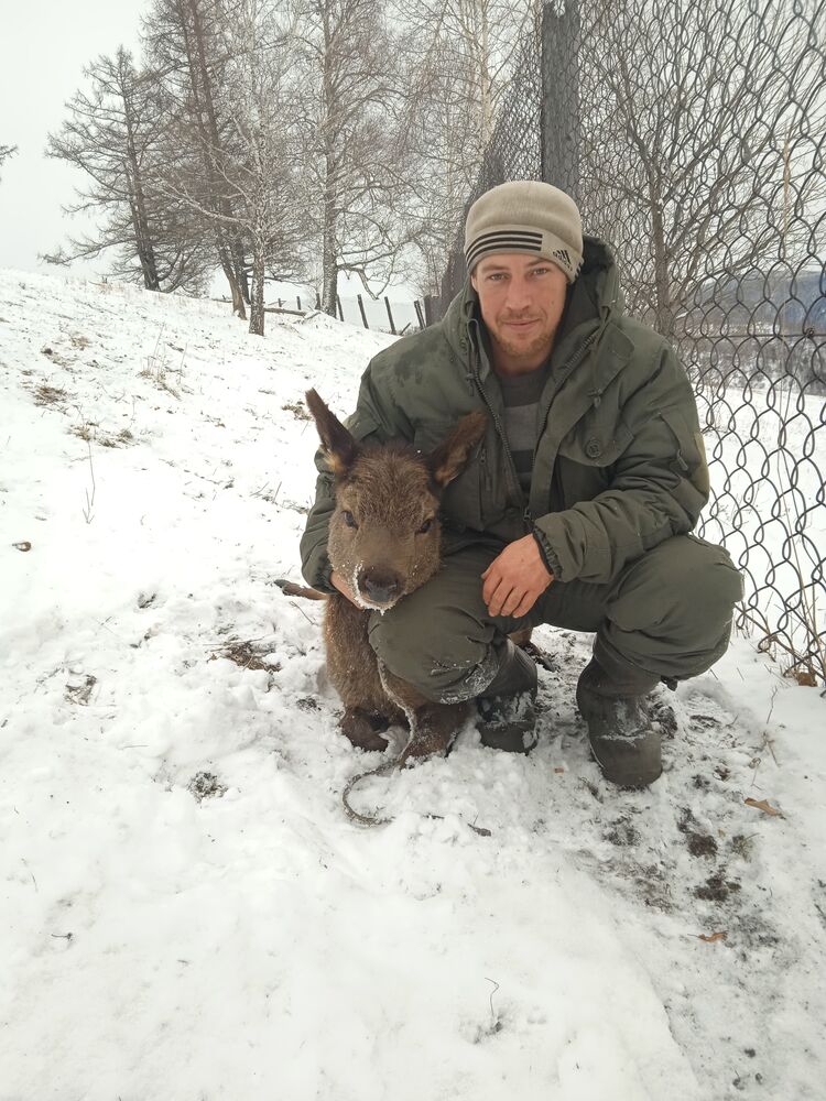  51371443  , 29 ,    -