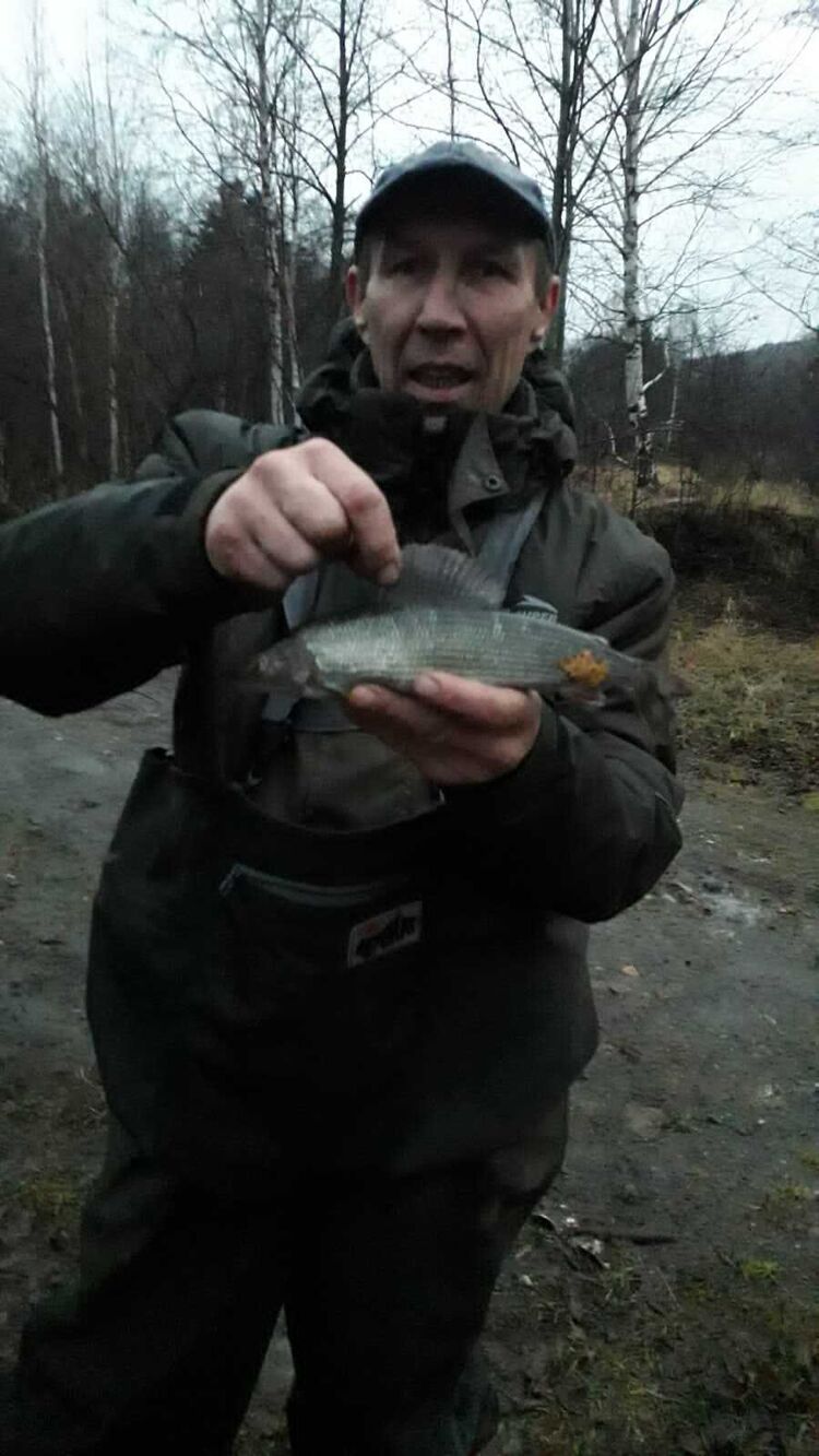 ���������� ������������, ���� ������� �������, 51 ���, ������������ ��� ������, ����� � ���������