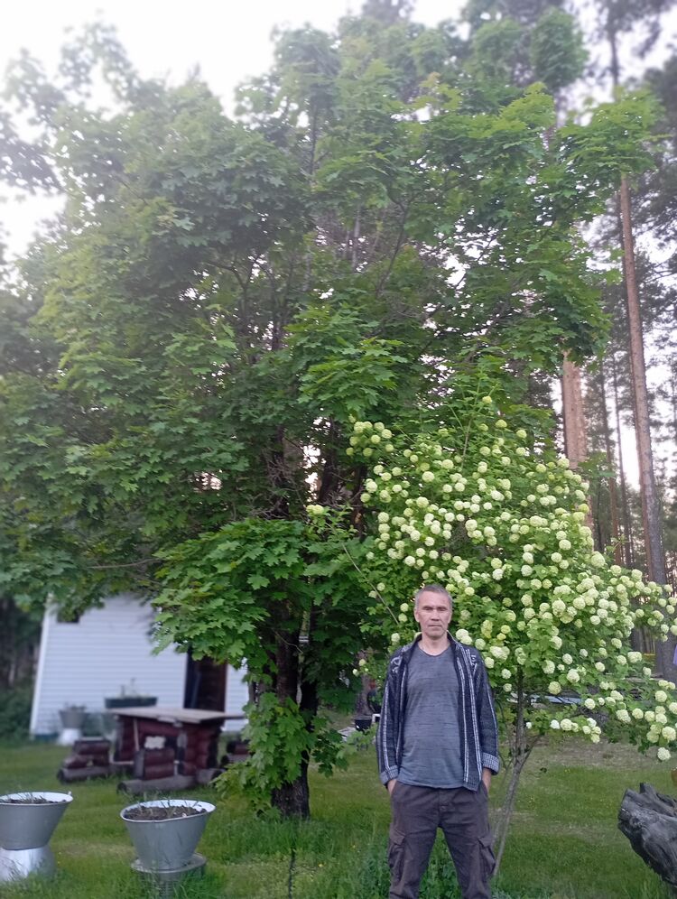  52108883  , 47 ,    