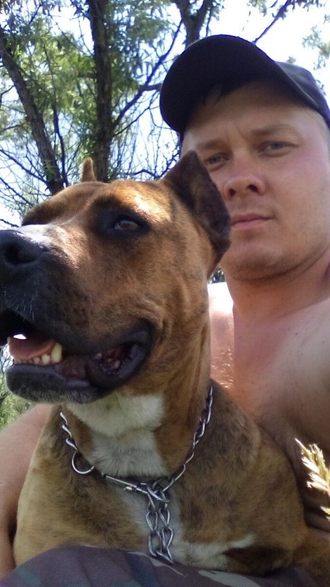 ���������� ����������, ���� ������� ������, 38 ���, ������������ ��� ������, ����� � ���������, c�������� ���������