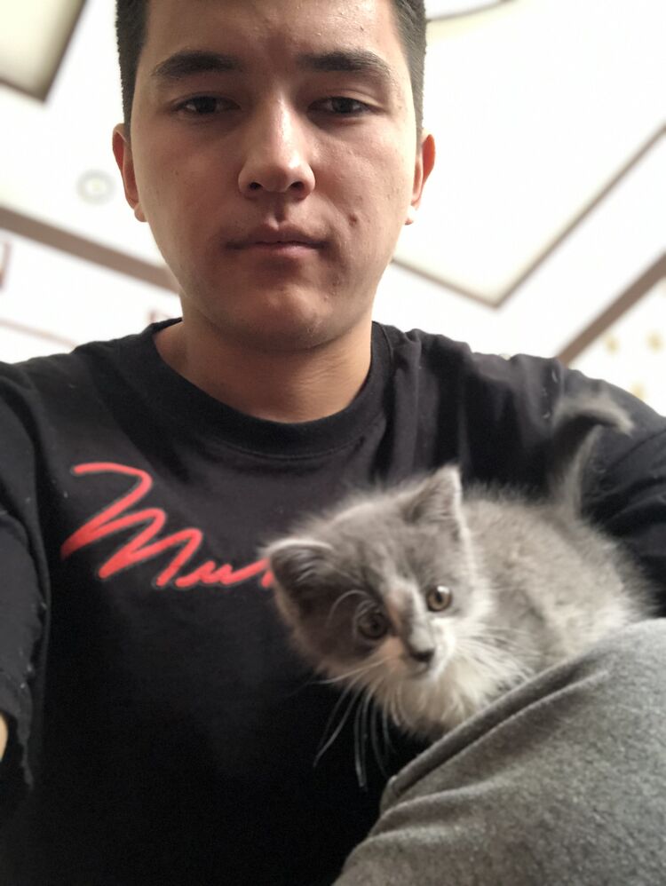 ���� 25832213 ����� Nozim, 25 ���, ���� ���������� � ��������