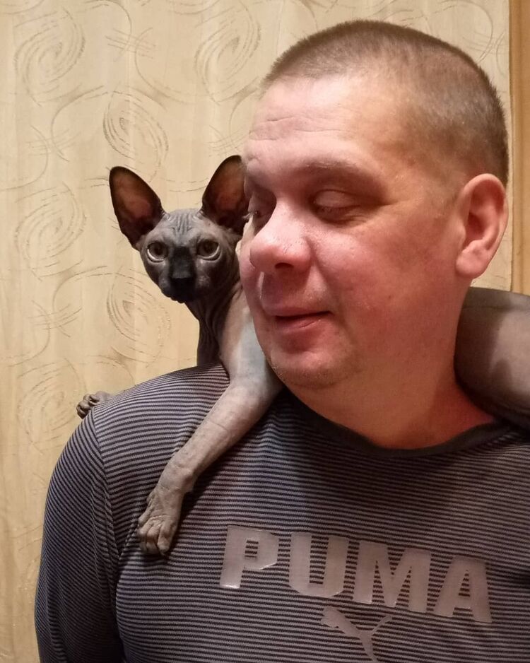   ,   , 53 ,   ,   