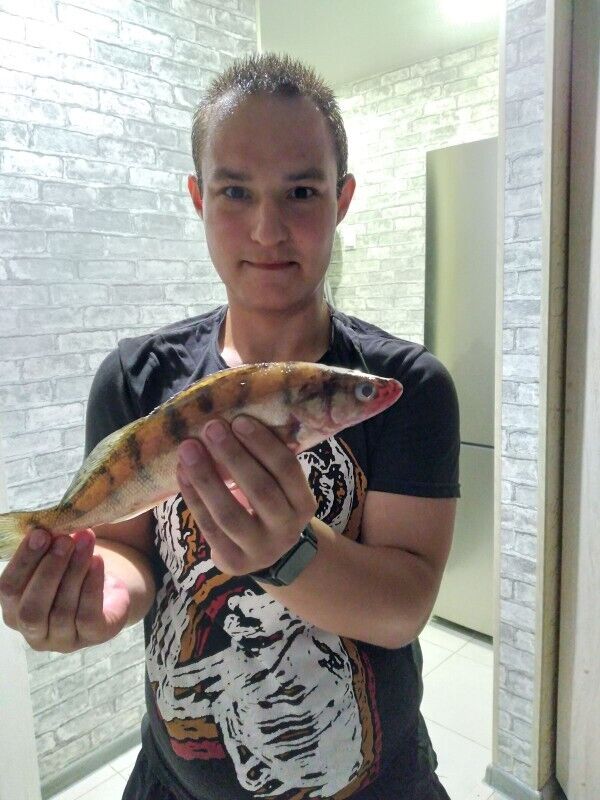 ���������� ��������, ���� ����� ��������, 25 ���, ������������ ��� ������, ����� � ���������