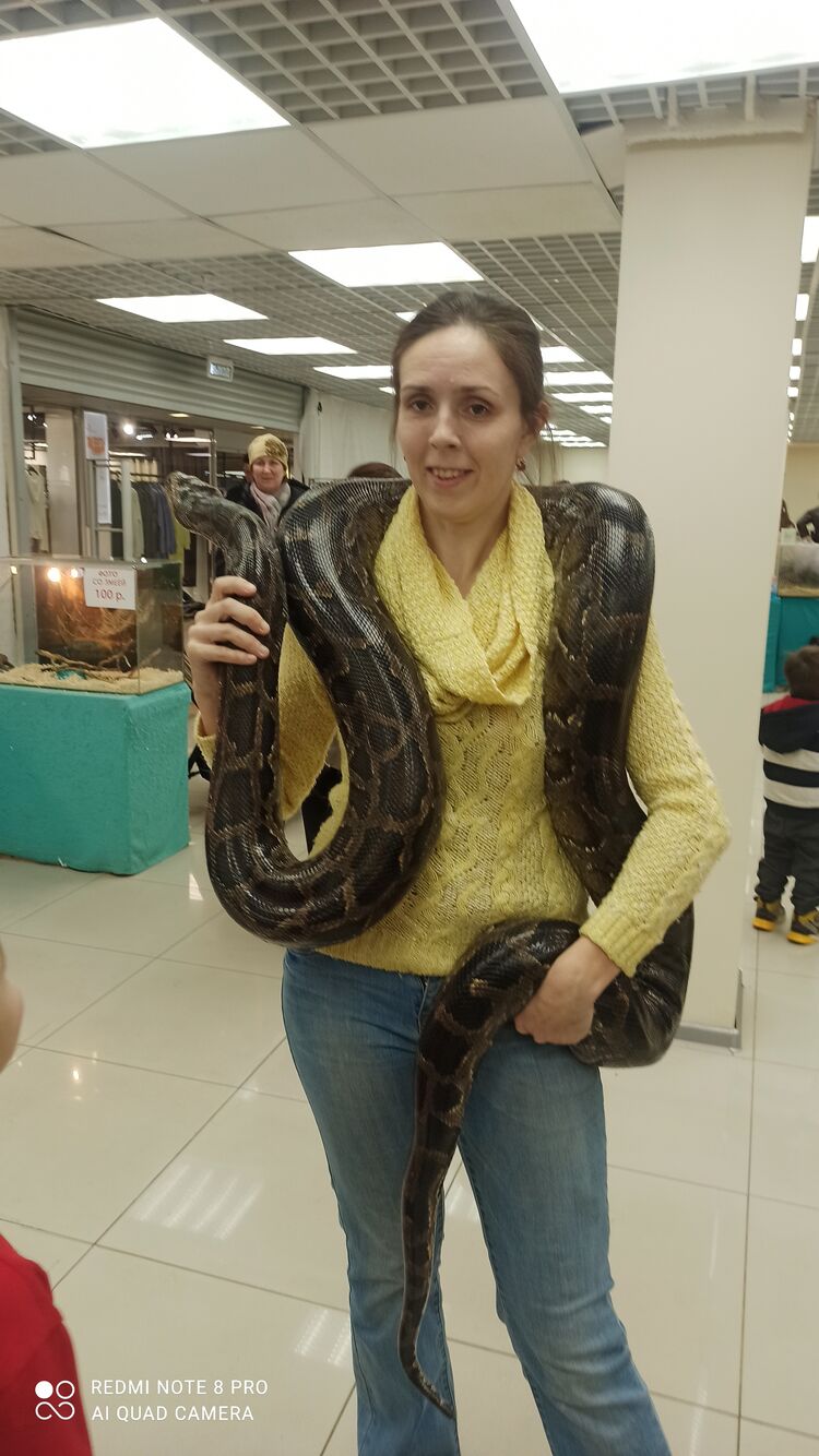 ���������� ������, ���� ������� ��������, 37 ���, ������������ ��� ������, ����� � ���������, c�������� ���������