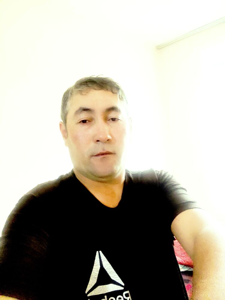  47184893  , 41 ,    