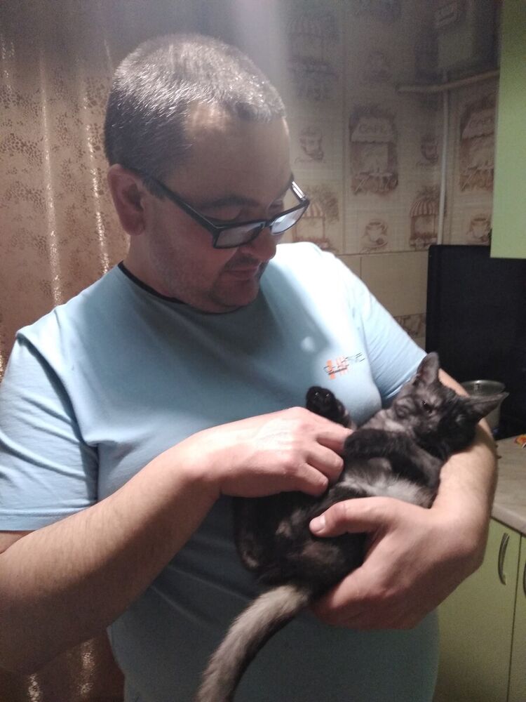 ���������� ����, ���� ������� ������, 49 ���, ������������ ��� ������, ����� � ���������