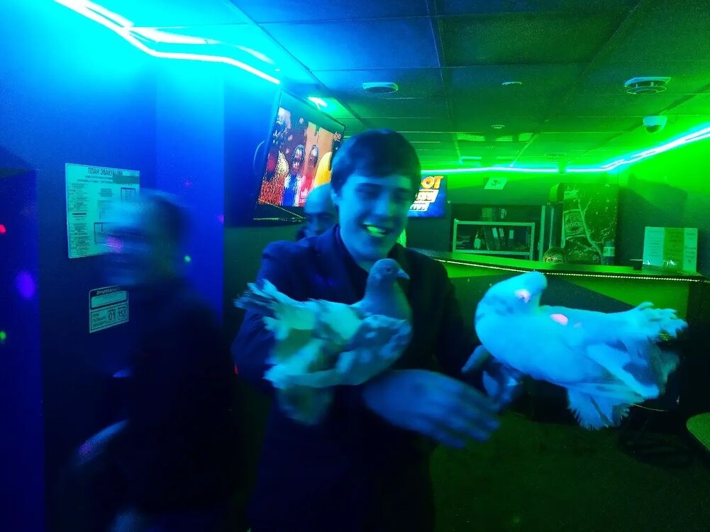 ���������� �����-���������, ���� ������� ������, 36 ���, ������������ ��� ������, ����� � ���������