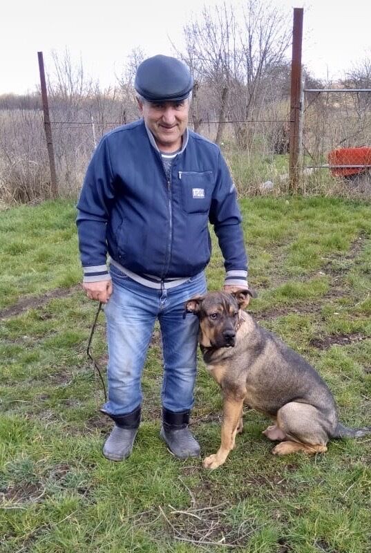 ���������� �������, ���� ������� �����, 72 ����, ������������ ��� ������, ����� � ���������