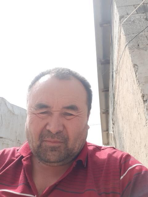  24045593  , 51 ,    