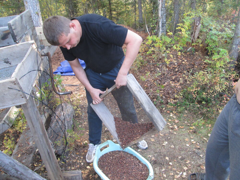 ���� 50618473 ������� ������, 45 ���, ���� ���������� � ������