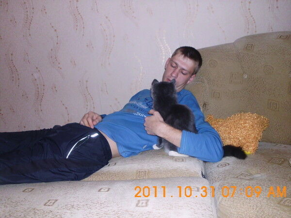 ���� 5320603 ������� Zhuk, 36 ���, ���� ���������� � ������