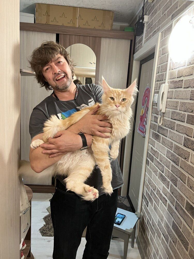 ���������� ������, ���� ������� �������, 47 ���, ������������ ��� ������, ����� � ���������, c�������� ���������, ���������