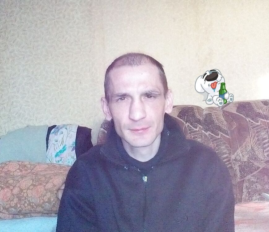 ���� 23497113 ������� ������, 43 ����, ���� ���������� � �����-����������