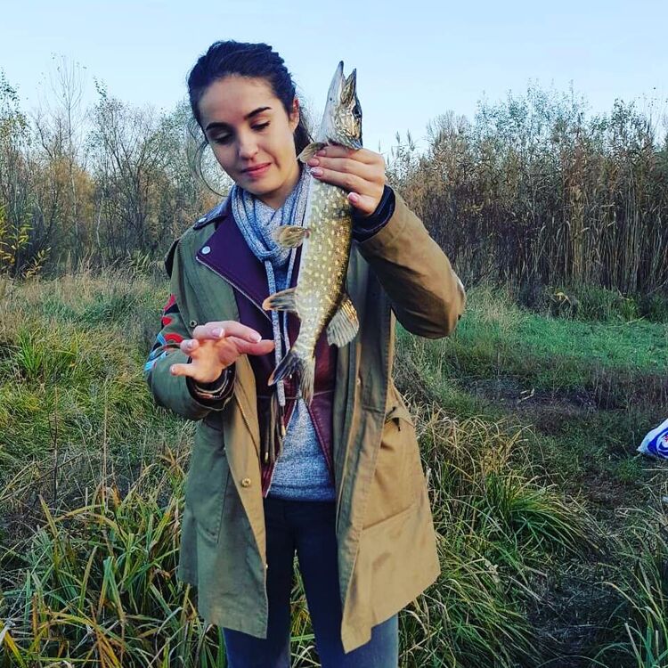 ���������� �������, ���� ������� �����, 26 ���, ������������ ��� ������, ����� � ���������