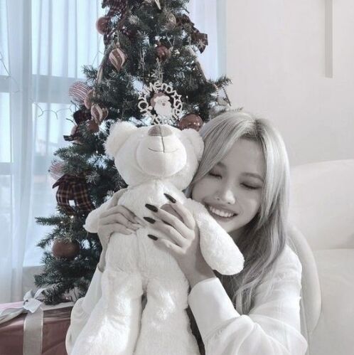 ���� 38758493 ������� ���� �����, 20 ���, ���� ���������� � ������