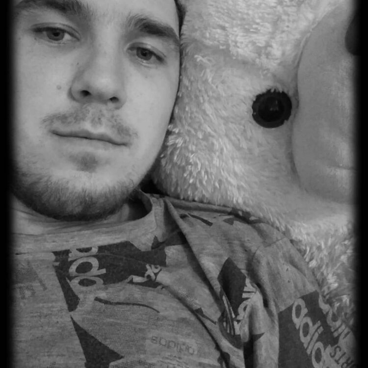 ���������� ����, ���� ������� �������, 31 ���, ������������ ��� ������, ����� � ���������, c�������� ���������, ���������