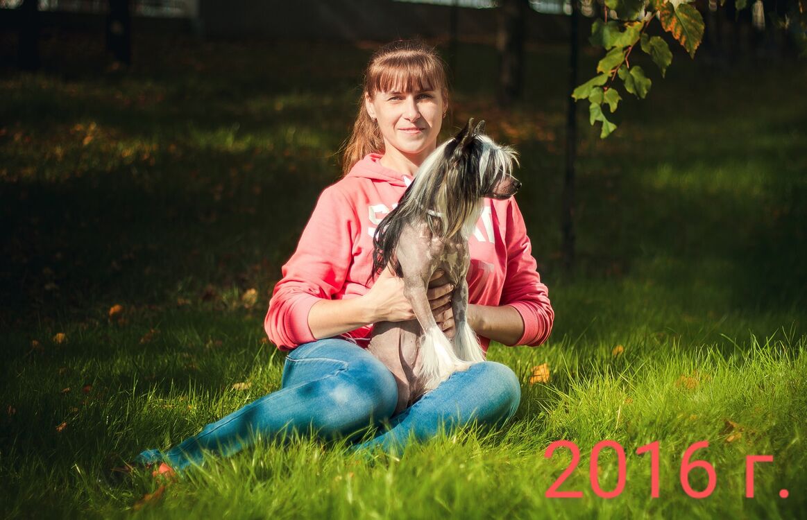 ���������� ������, ���� ������� ������, 44 ����, ������������ ��� c�������� ���������