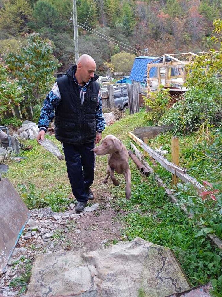 ���� 39039513 ������� ����, 39 ���, ���� ���������� � ����-����������