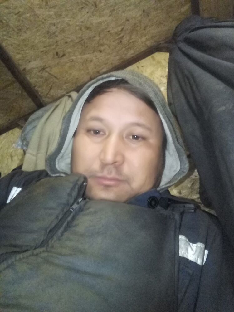  15917123  , 43 ,    