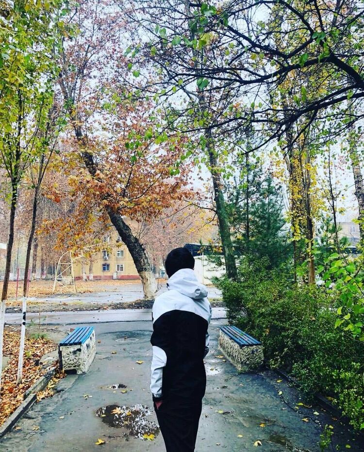 ���������� ������, ���� ������� �����, 26 ���, ������������ ��� ����� � ���������, c�������� ���������