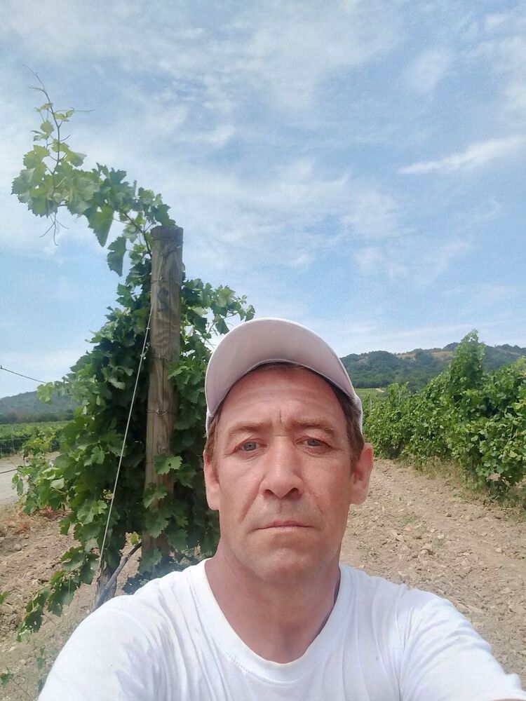  ,   , 46 ,   ,   