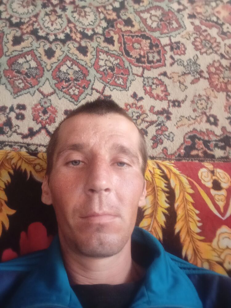  44038723  , 31 ,    
