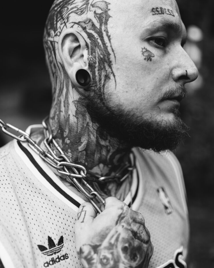  54045543  , 36 ,    -