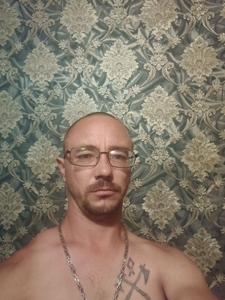  52533053  , 37 ,    
