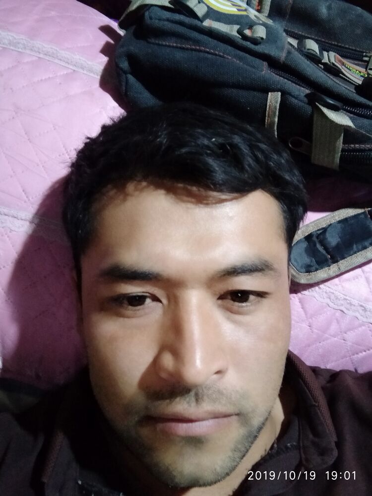  23192043  , 36 ,    