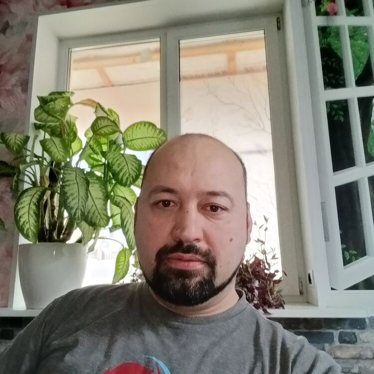 ���������� ��������, ���� ������� �����, 46 ���, ������������ ��� ������, ����� � ���������, ���������