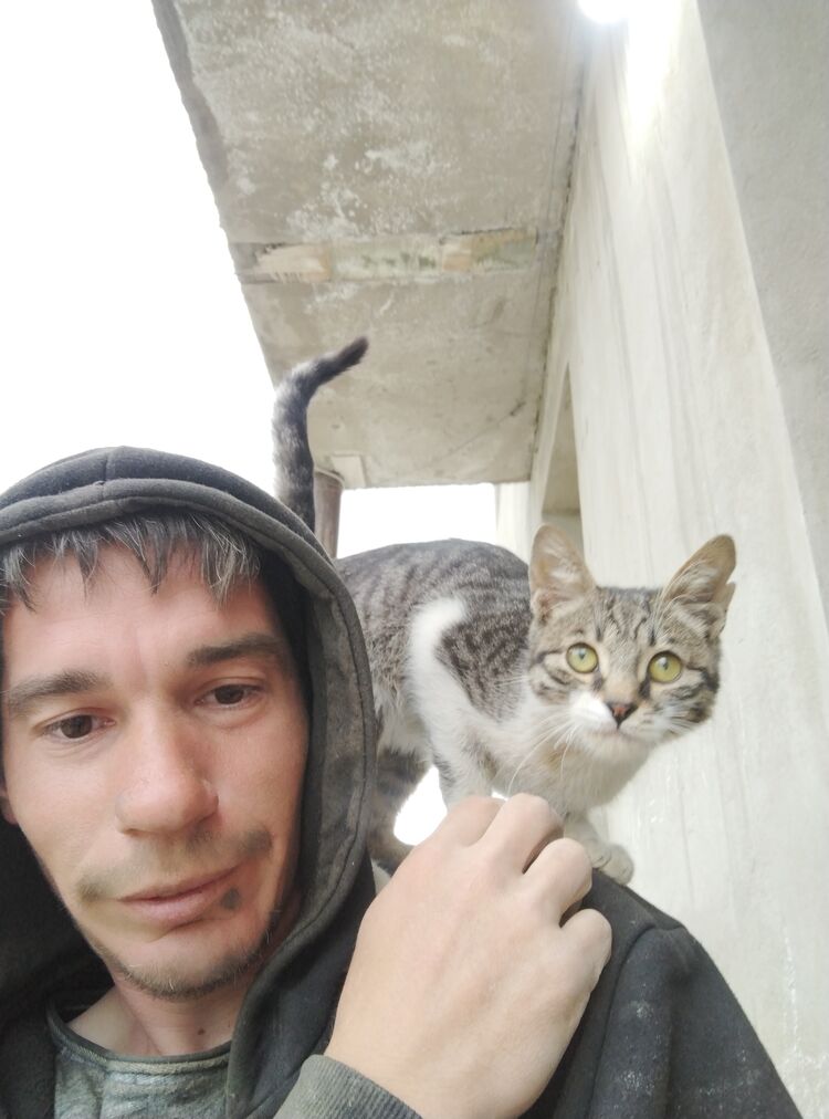  ,   , 36 ,   ,   , c , 