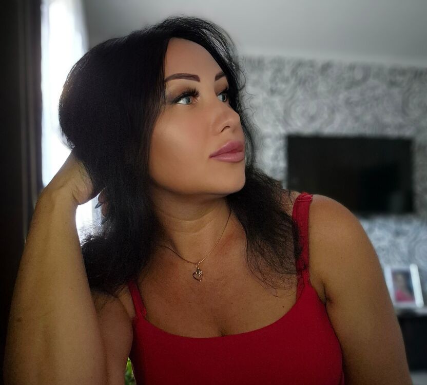  53552933  , 49 ,    