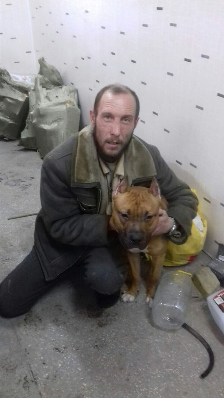 ���� 22623573 ������� ������, 42 ����, ���� ���������� � ������