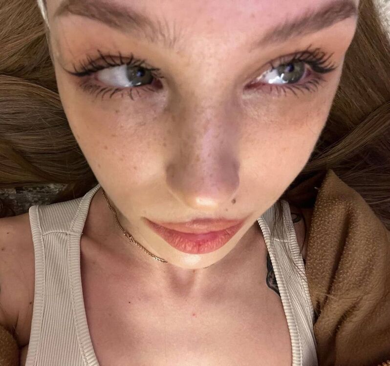  43820273  , 24 ,    -