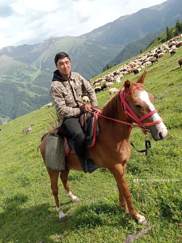 ���� 31678873 ������� ��������, 27 ���, ���� ���������� � ������