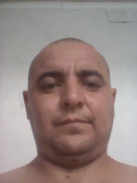  ,   , 41 ,   