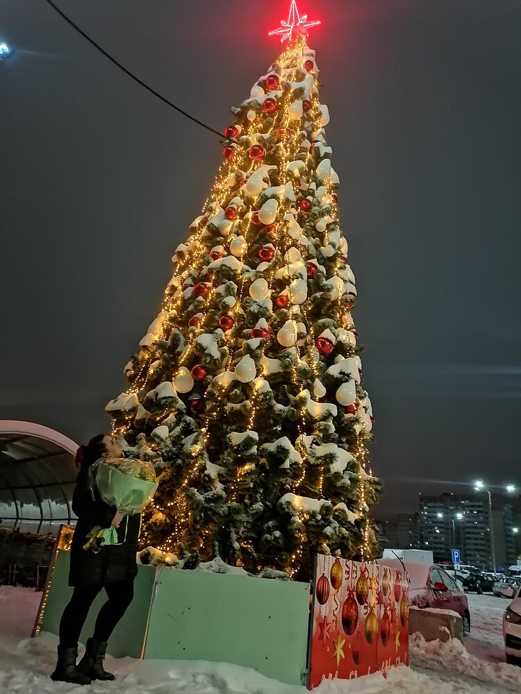 ���� 25667283 ������� ��������, 29 ���, ���� ���������� � �������-��-����