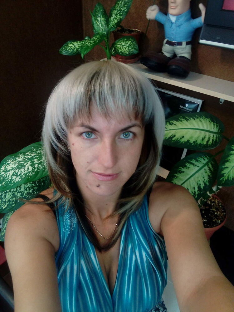 ���������� �������, ���� ������� ���������, 40 ���, ������������ ��� ������, ����� � ���������, c�������� ���������