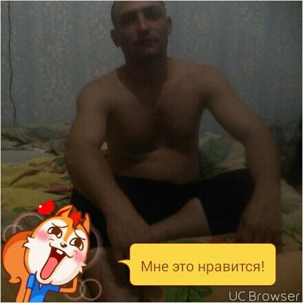  6535503  , 39 ,    -
