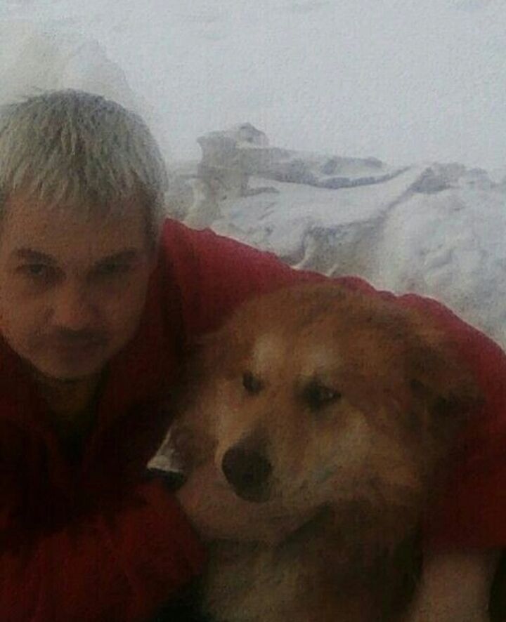  ,   Pepelyen, 40 ,   ,   , c , 
