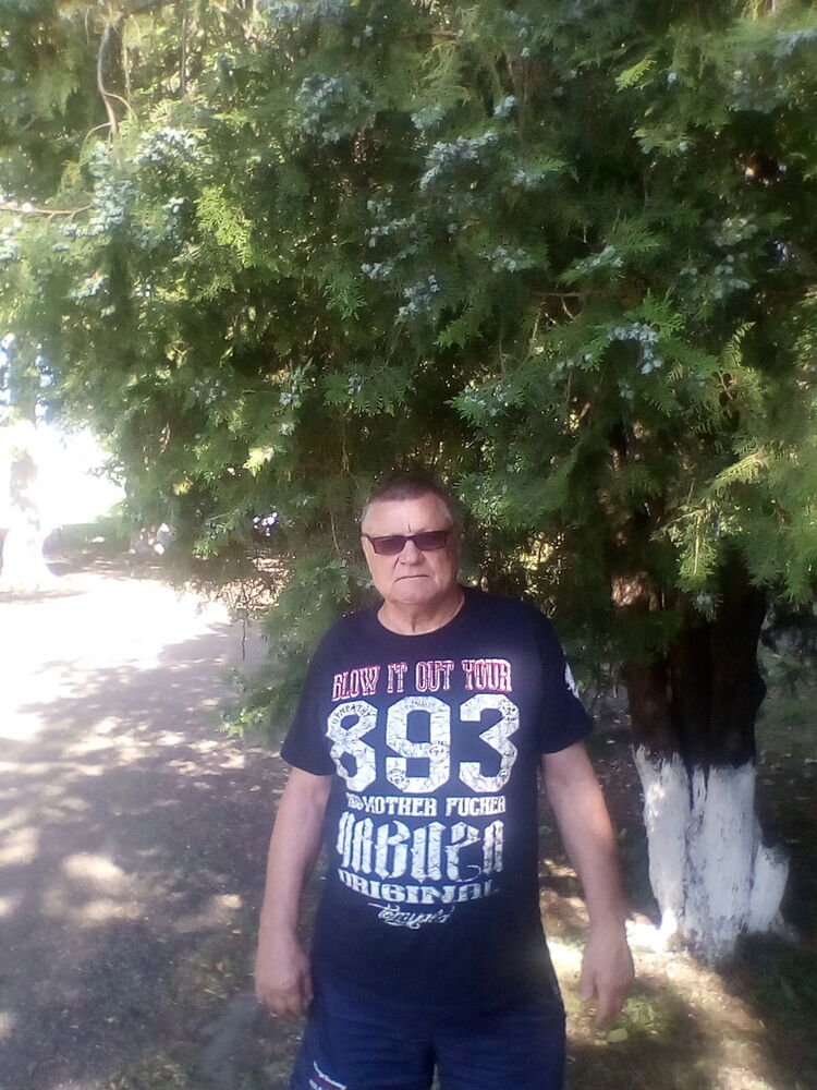  33828593  , 63 ,    