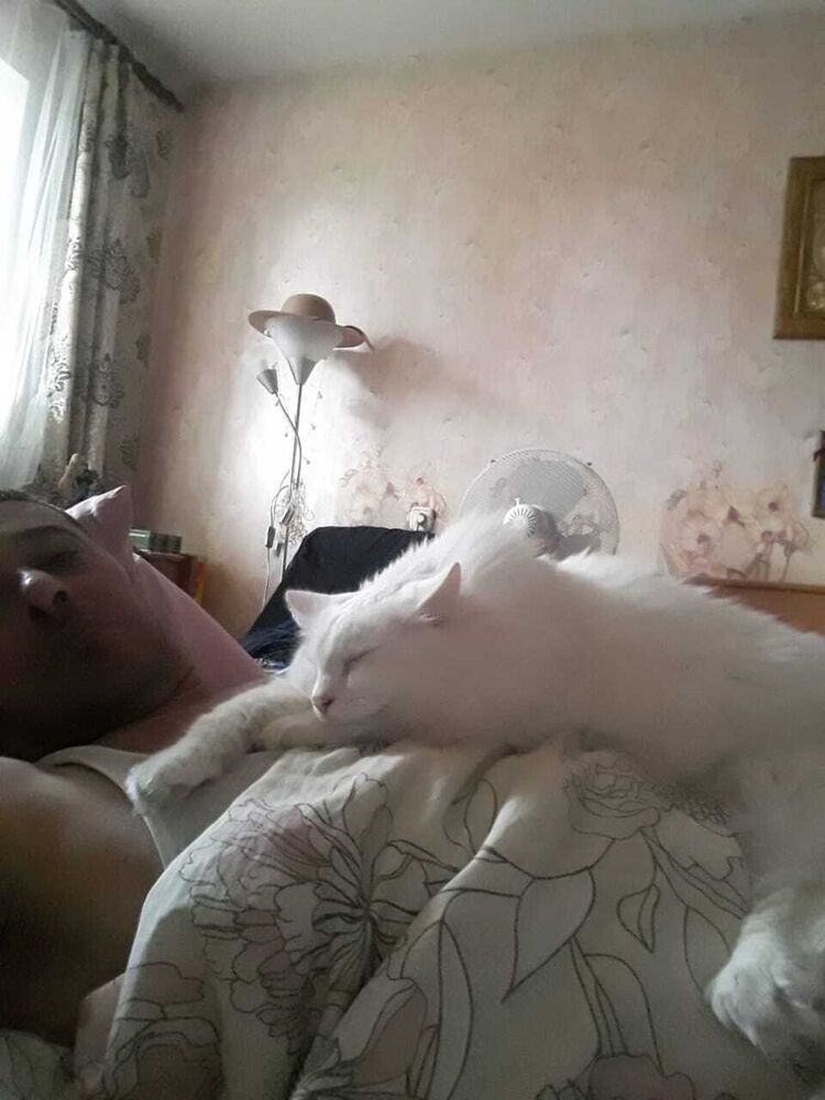 ���������� ������, ���� ������� ������, 47 ���, ������������ ��� ������, ����� � ���������