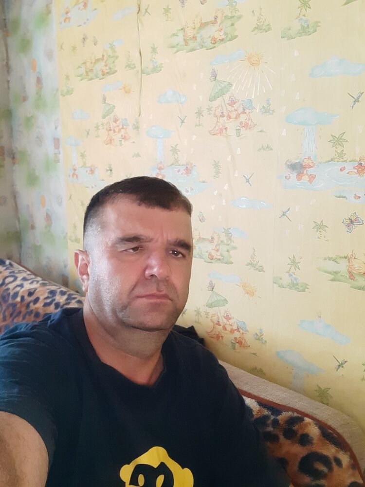  48163783  , 29 ,    -